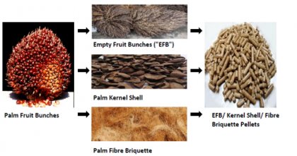 Market Analysis for Making EFB Pellets