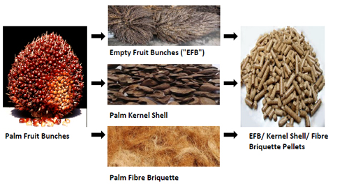 EFB pellet prossing