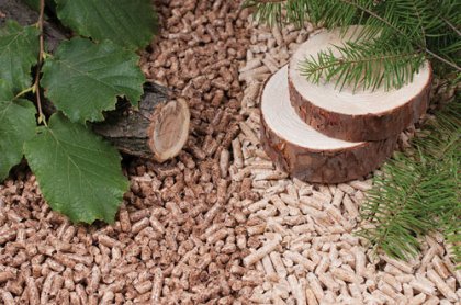 What you need to know while choosing a wood pellet machine?