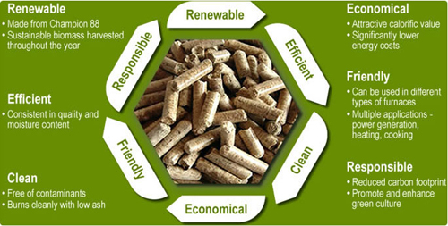 Advantages of using biomass pellet press