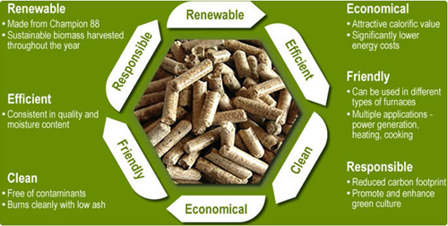 Advantages of using biomass pellet press