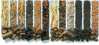 What you should know about wood pellet raw material?