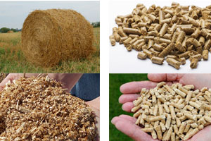 What are the raw materials of wood pellet machine?